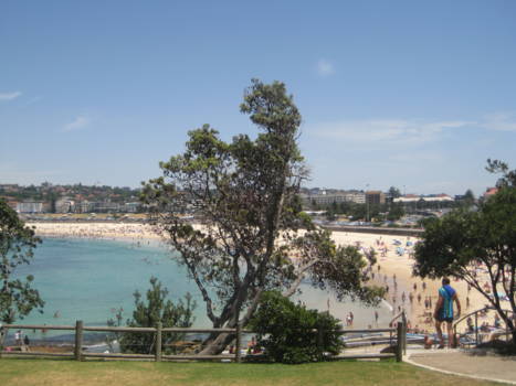 Bondi Beach - North Bondi