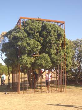 Bondi Beach - Sculptures by the Sea