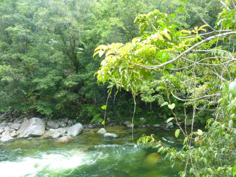 Daintree National Park - Mossman Gorge