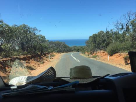 Great Ocean Road - on the road