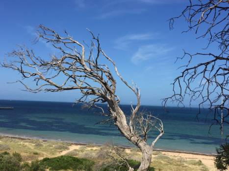 Great Ocean Road - Queenscliff