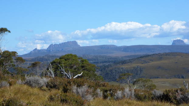 Tasmanië - Craddle Mountain