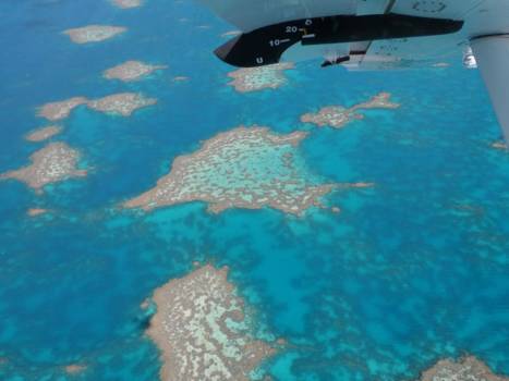 Rondvlucht over het Great Barrier Reef, een must-do - Hardy Reef