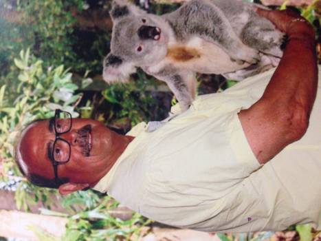 Gold Coast - Ja de koala beer mag niet ontbreken