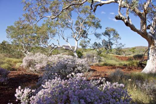 Western Australia - Kalbarri National Park