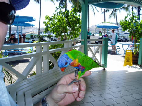 Whitsunday Islands - Hamilton Island
