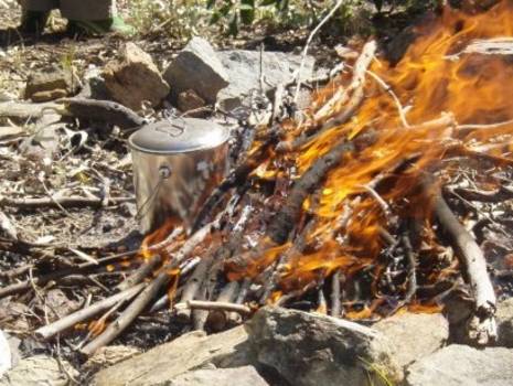 Queensland - Billy Tea