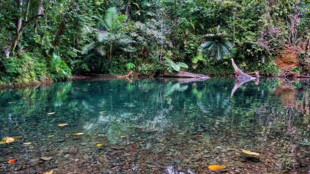 Cape Tribulation - Billabong