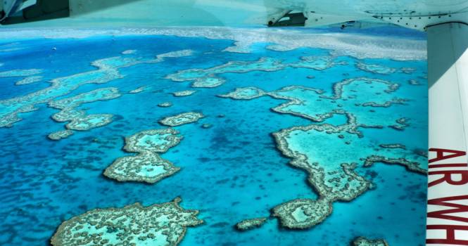 Queensland - Great Barrier Reef