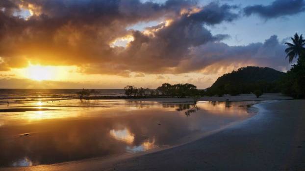 Queensland - Cape Tribulation