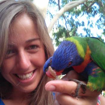 Australie - Paradijsvogels @ Magnetic Island