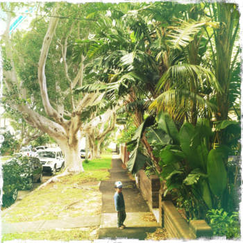 Sydney - Barry Street, Clovelly