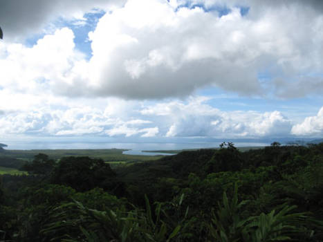 Queensland - Cape Tribulation