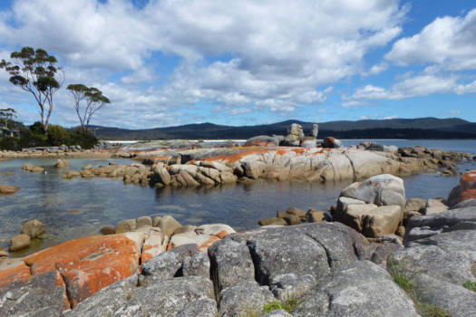 Tasmanië - Tasmanie