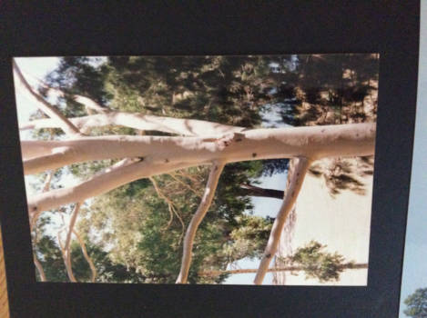 Western Australia - Land schap van uit Perth langs de Swan river,adem benemend .