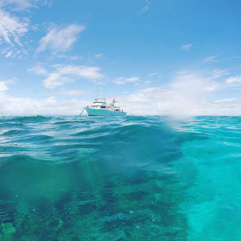 Great Barrier Reef - Great Barrier Reef - Cairns - Australie