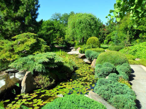 Adelaide - Japanse Tuin, Adelaide, Australië