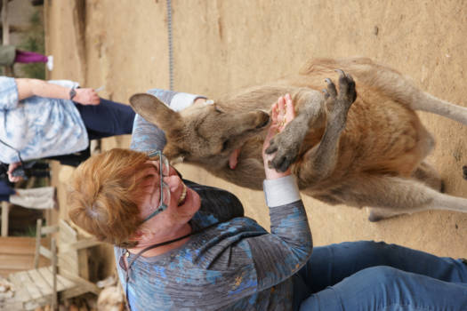 Tasmanië - Mijn nieuw vriendje