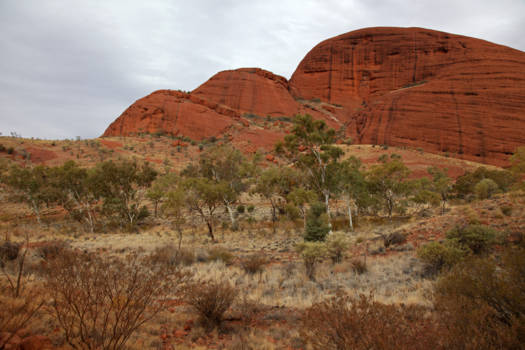 Uluru (Ayers Rock) - Down Under