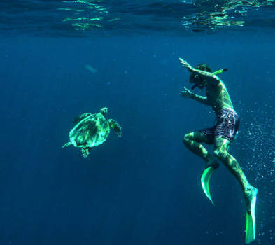 Manly - Snorkellen met Schildpadden, altijd een goed idee