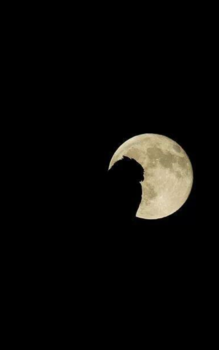 South Australia - full moon