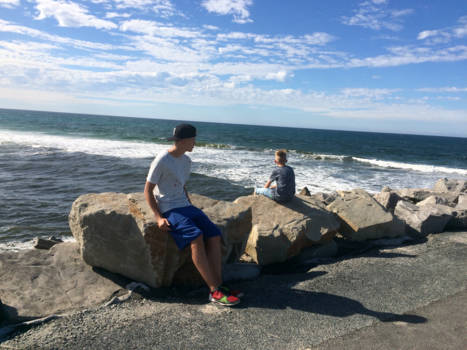 Queensland - Walvissen spotten