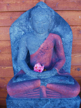 Western Australia - Buddha in Perth