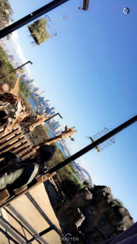 Sydney - Taronga zoo Sydney