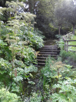 Western Australia - Watertrappen