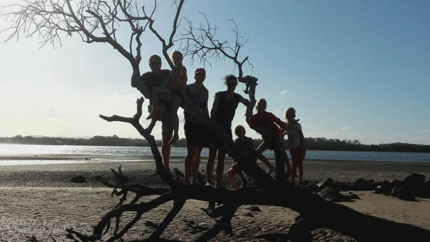 Queensland - Wadlopen bij Redcliffe Peninsula