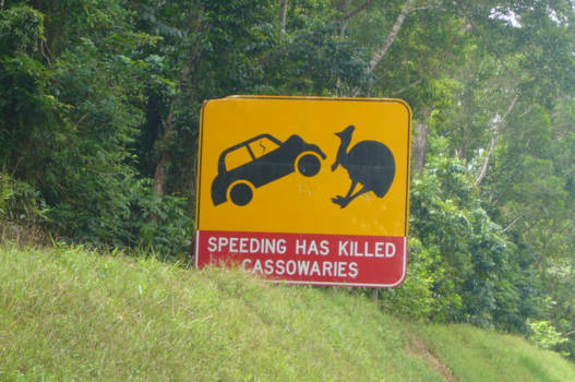 Queensland - Onderweg oppassen