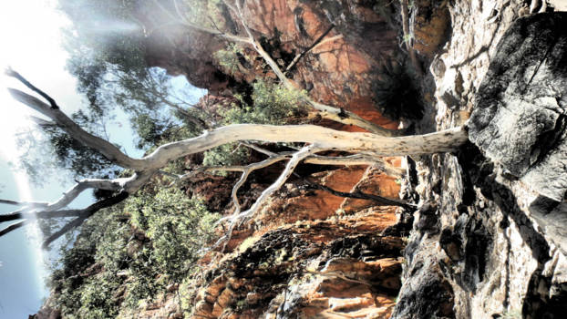 Northern Territory - Larapinta trail