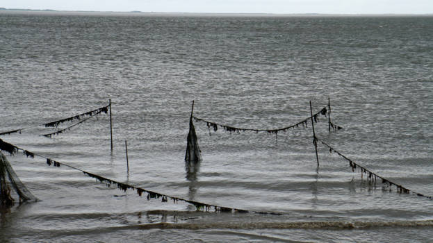 Keppel Islands - de vissers netten