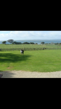 Melbourne - Churchill island