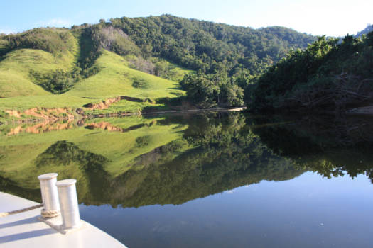 Outback - Daintree Noord-Oost Australia
