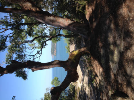 New South Wales - Droomland