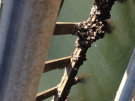 New South Wales - Patongstrand zo mooi zoveel rust