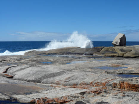 Tasmanië - Bicheno, blowhole