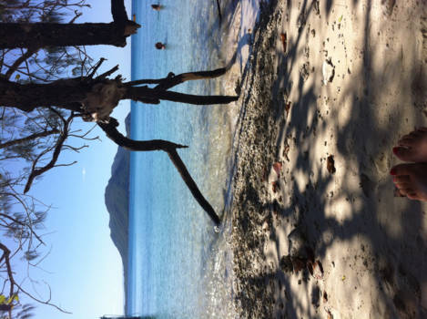 Cairns - Enjoying paradise