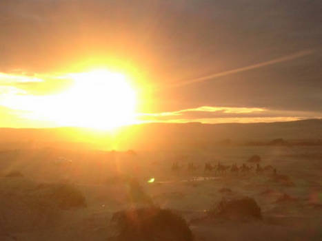 Port Stephens - Anna Bay Sand Dunes, Australia