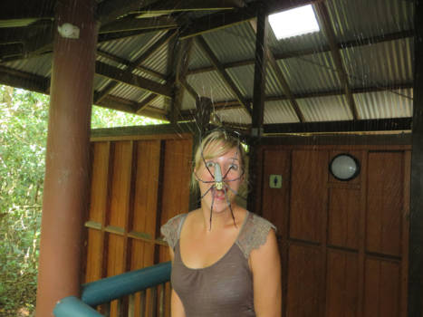 Cape Tribulation - Like = ik wil reizen buiten mijn comfort zone en ook naar Cape Tribulation Australië!