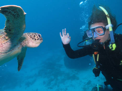 Great Barrier Reef - Had to ask how old they get for nemo ;)