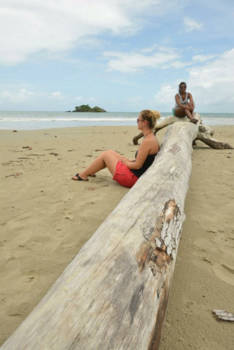 Cairns - Rainforest cairns Australië