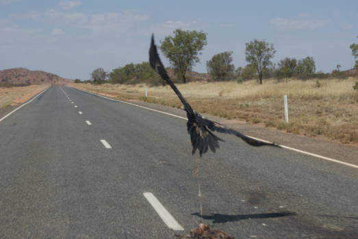 Alice Springs - Onderweg in de middle of nowhere