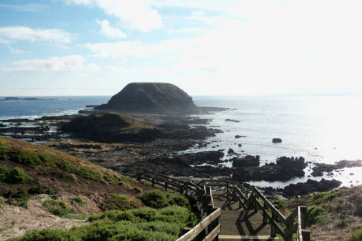 Sydney - Sealless seal rock