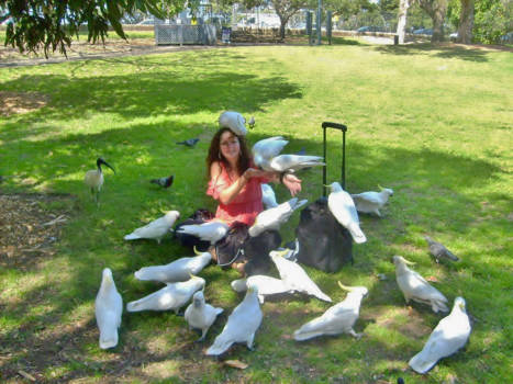 Royal Botanic Gardens en The Domain - Made new friends while backpacking; wild cockatoos.