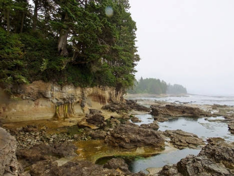 Western Australia - Port Renfrew - Vancouver Island