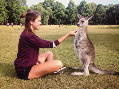 Sydney - Do you want to marry me?