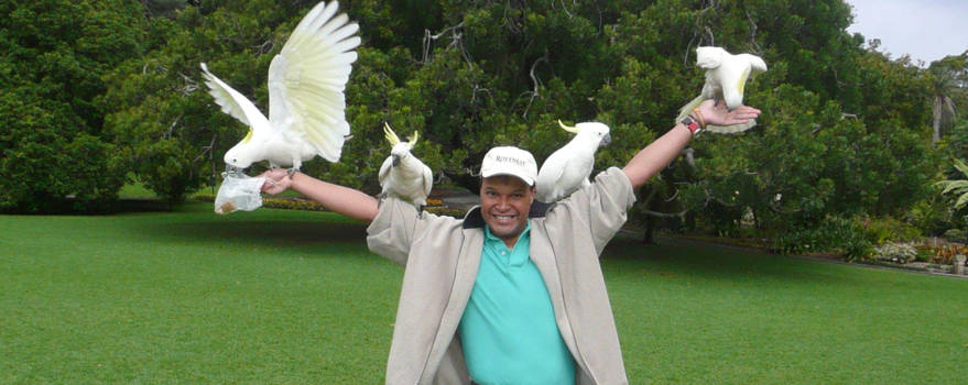 Sydney - Cocky