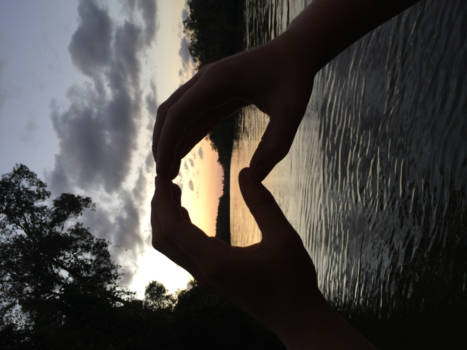 Noosa Everglades - The shape of Australia, after Australia shaped mine and my travelbuddy's spirit